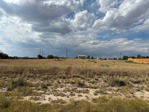 1317 N Gantts Fort Ave, Pueblo West, CO 81007