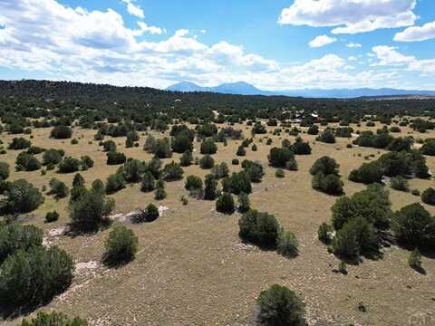 911-914 Rio Cucharas, Walsenburg, CO 81089