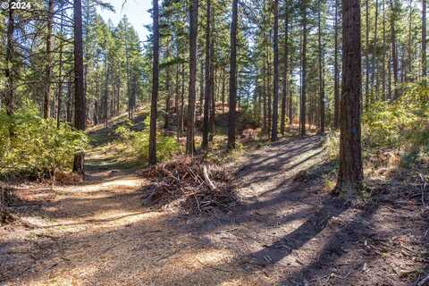 Paradise Ridge, Mosier, OR 97040