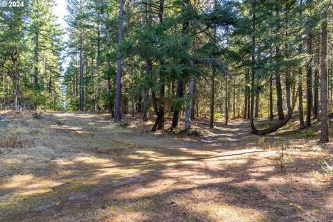 Paradise Ridge, Mosier, OR 97040