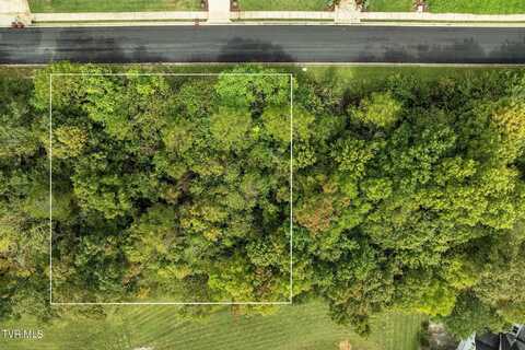 Lot 91 Ridgetop Drive, Johnson City, TN 37615