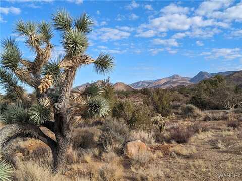 2624 S Gold Mine Road, Yucca, AZ 86438