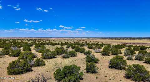 Tbd N6655 40.45 Acres, Saint Johns, AZ 85936