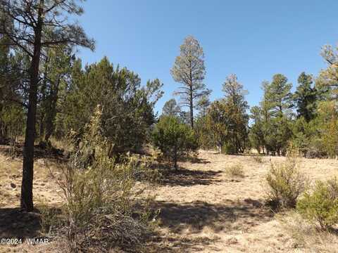 3332 Sawmill Ridge Loop, Heber, AZ 85928