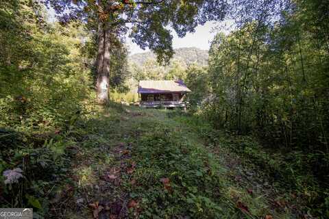 1916 Upper Tuskeegee, Robbinsville, NC 28771