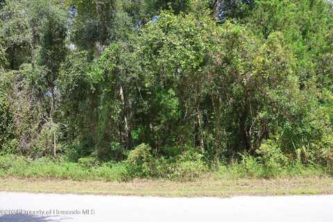 439 S Snapp Avenue, Inverness, FL 34452