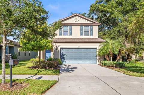 6317 MAGNOLIA PARK BOULEVARD, RIVERVIEW, FL 33578