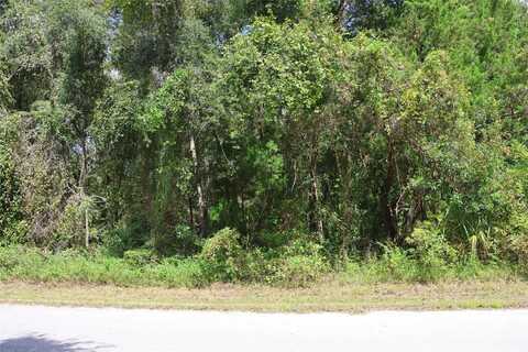 439 S SNAPP AVENUE, INVERNESS, FL 34453