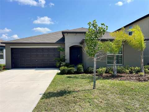 10411 ALDER GREEN DRIVE, RIVERVIEW, FL 33578