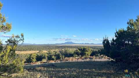 Tomahawk Trail, Quemado, NM 87829