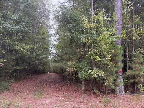 Lot 12 Strawberry Plains Road, Ivor, VA 23866