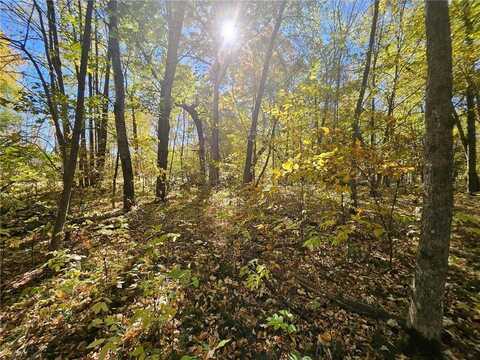 Lot 19 Pacer Dr, Browerville, MN 56438