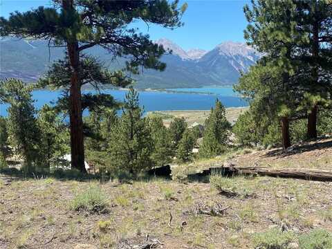 274 PARRY PEAK DRIVE, Leadville, CO 81251