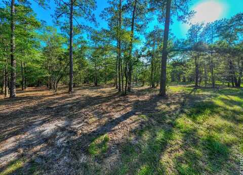 TBD Landsend Drive, Brookeland, TX 75931