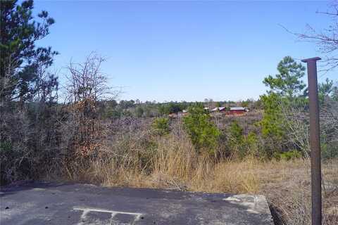 Kelley, BASTROP, TX 78602