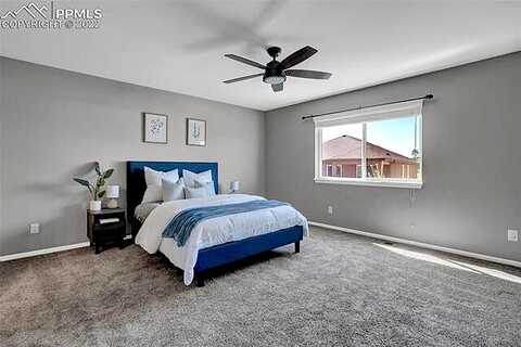 Ironwood Tree, COLORADO SPRINGS, CO 80927