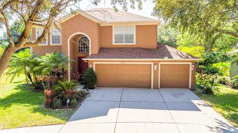 Burgess Hill, RIVERVIEW, FL 33579