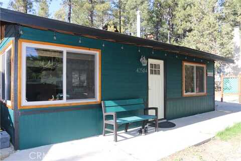 Cougar, BIG BEAR LAKE, CA 92315