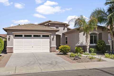 Sourwood, GILBERT, AZ 85298