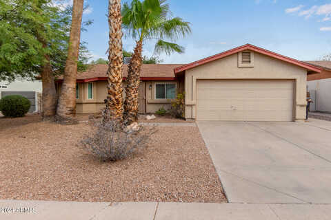 Appaloosa, GILBERT, AZ 85296