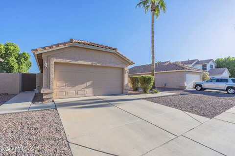 Raven, CHANDLER, AZ 85286