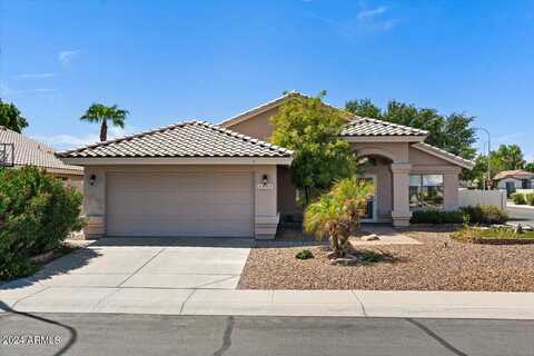 Canary, CHANDLER, AZ 85286