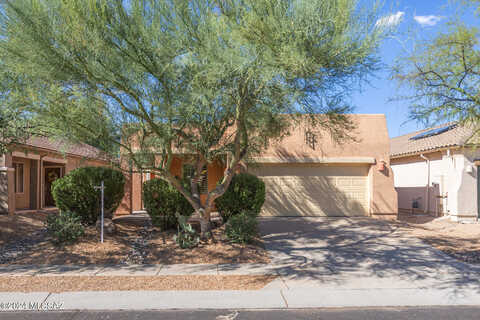 Capercaillie, TUCSON, AZ 85747