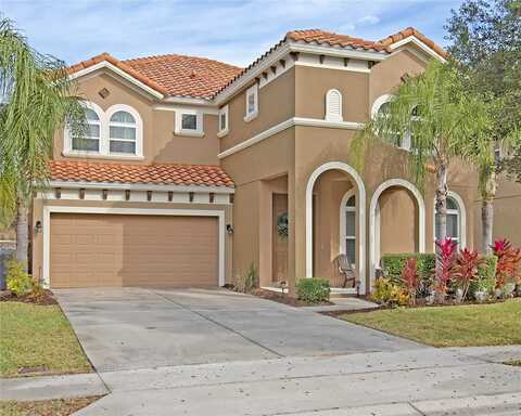 Orange Cosmos, DAVENPORT, FL 33837