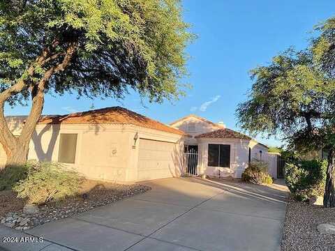 Gambel, FOUNTAIN HILLS, AZ 85268