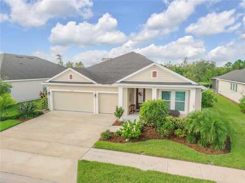 Passionflower, CLERMONT, FL 34714