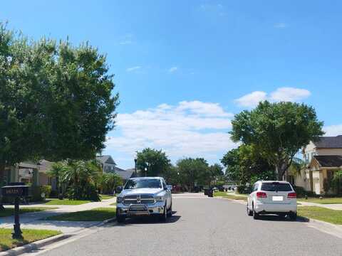 Moss Rose, ORLANDO, FL 32832