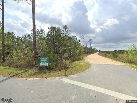 Circle Hill Rd, SNEADS, FL 32460