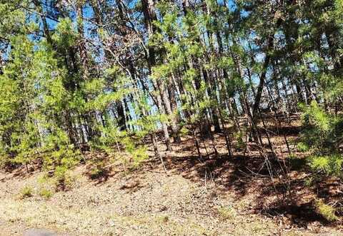 32 Dedalera Way, Hot Springs Village, AR 71909