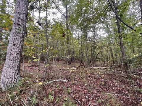 00 County Road, Mentone, AL 35984