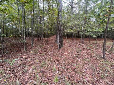 0 County Road, Mentone, AL 35984