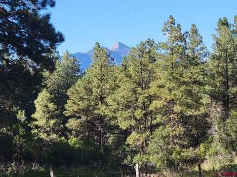 X Oren Road, Pagosa Springs, CO 81147