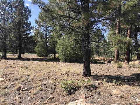 Lot 18 Cottontail Lane, Ridgway, CO 81432