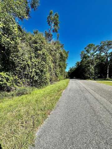 0 117th Ave, Chiefland, FL 32692