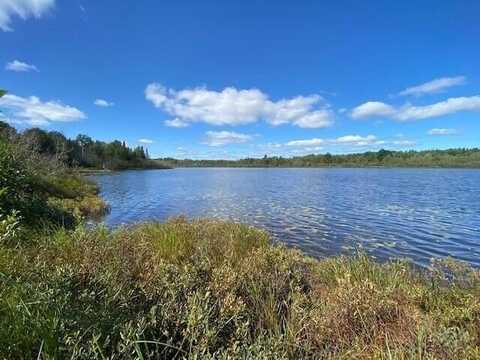 Pt Lot 119 W Birch Shore Drive, Trout Lake, MI 49793