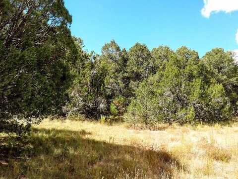 152 JESSE JAMES Road, Edgewood, NM 87015