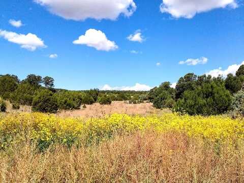 72 JESSE JAMES Road, Edgewood, NM 87015