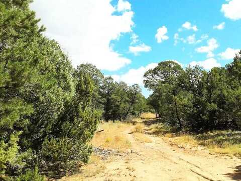 165 JESSE JAMES Road, Edgewood, NM 87015