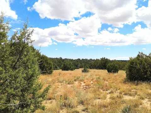 111 JESSE JAMES Road, Edgewood, NM 87015