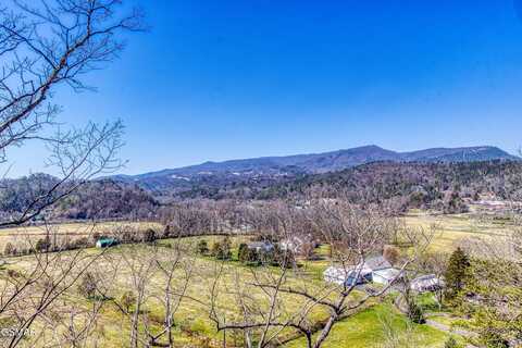 Lot 81 Stone Wood Way, Pigeon Forge, TN 37862