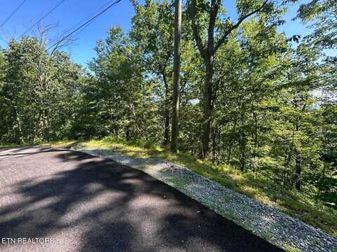 Lot 1r Overholt Trail, Sevierville, TN 37862