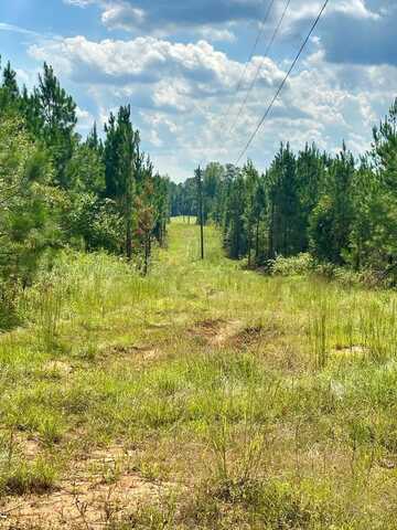 N/A Bethel Road, Louisville, MS 39339