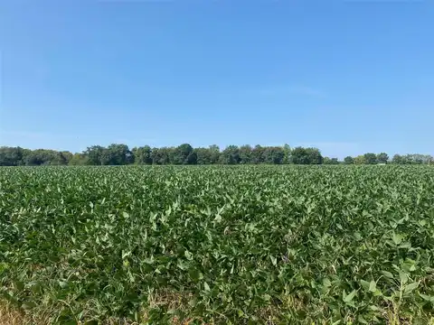 0 Old Cemetery Trail, Coffeen, IL 62017