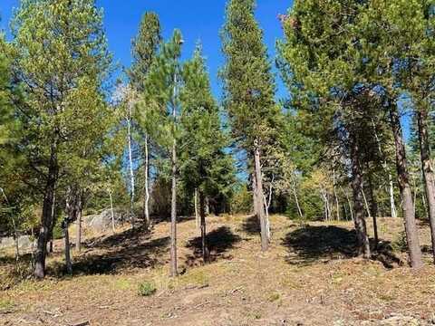 Lot 22 Sawtooth Loop, Cascade, ID 83611