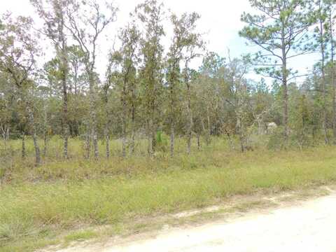 690 NE 135TH COURT, WILLISTON, FL 32696