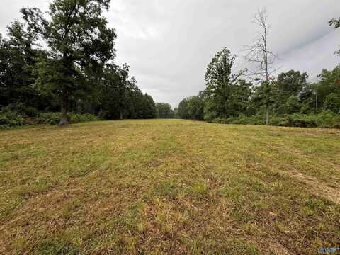 18 Acres Hwy 79, Scottsboro, AL 35768